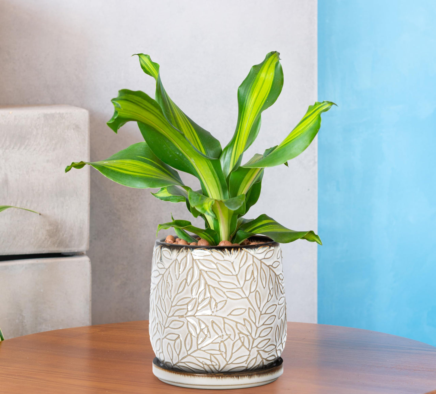 D'vine Dev 5 Inch Embossed Leaves Stoneware Planter Pot with Drainage Hole and Saucer, Smoked White, Set of 2, 27-F-V-1