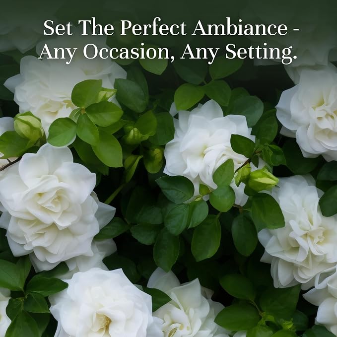 P&J Fragrance Oil Gardenia 100ml - Candle Scents, Soap Making, Diffuser Oil, Fresh Scent