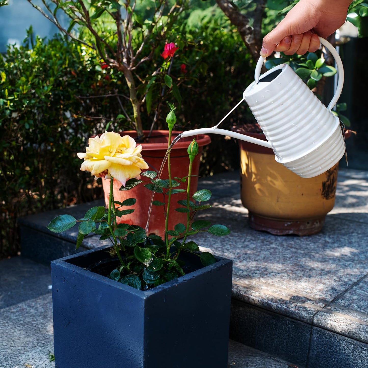 HORTICAN Small Watering Can, Matte Cream White, 34oz., Metal Watering Can with Long Spout, Nice Indoor Water Can, Plant Water Can for Indoor Plants
