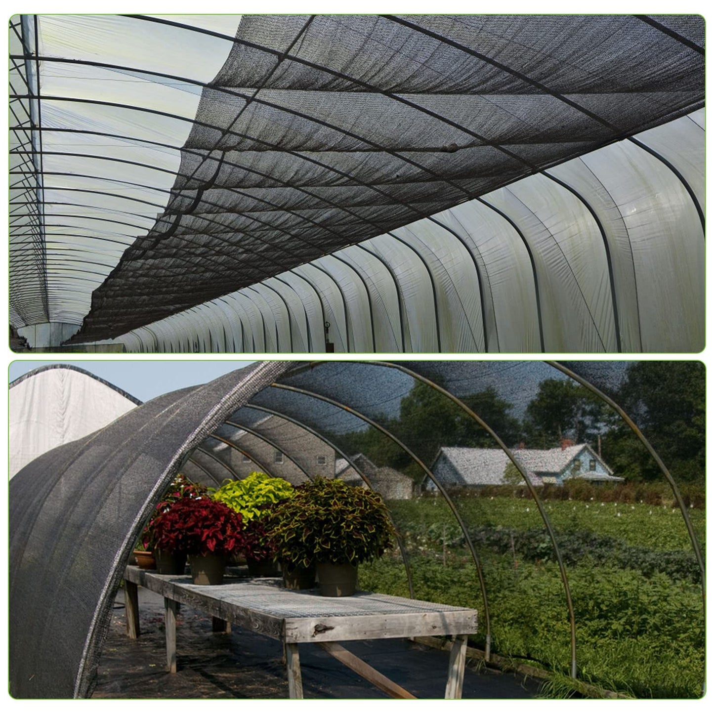 39 x 10 Ft Mosquito Netting for Garden Patio, Breathable Mesh Net for Bird and Insect Protection, Plant Cover for Vegetables, Fruits and Flowers, 3x12m Black