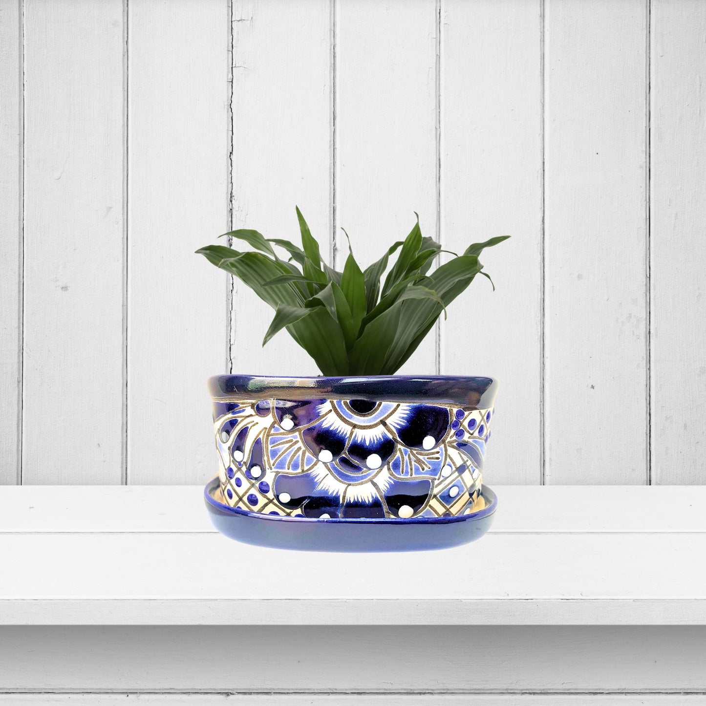Casa Fiesta Designs Small Ceramic Pot - Flower Planter with Drainage for Cactus Bonsai Succulents Blue and White Ceramic Pot - Desk Size - Maceta Ceramica Maceta Azul Blanco