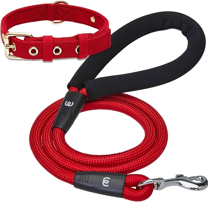 Blueberry Pet Classic Matching Dog Collar & Rope Leash Set in Red, Adjustable Neoprene for Small Dogs - Puppy Essentials, Heavy Duty Rope Dog Leashes, 4 ft Leash, Award Winning Brand