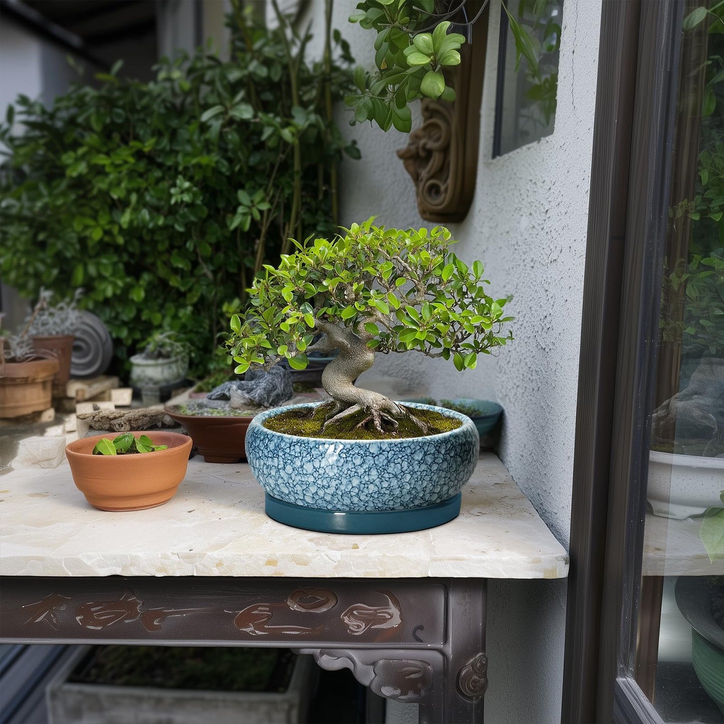 EPFamily Ceramic Bonsai Pots - 8 Inch Succulent Planters Indoor Outdoor, Bonsai Planters with Drainage Hole and Saucer, Shallow Planter, Round Planter Bowl, Home Decor, Gifts for Plant Lovers, Blue