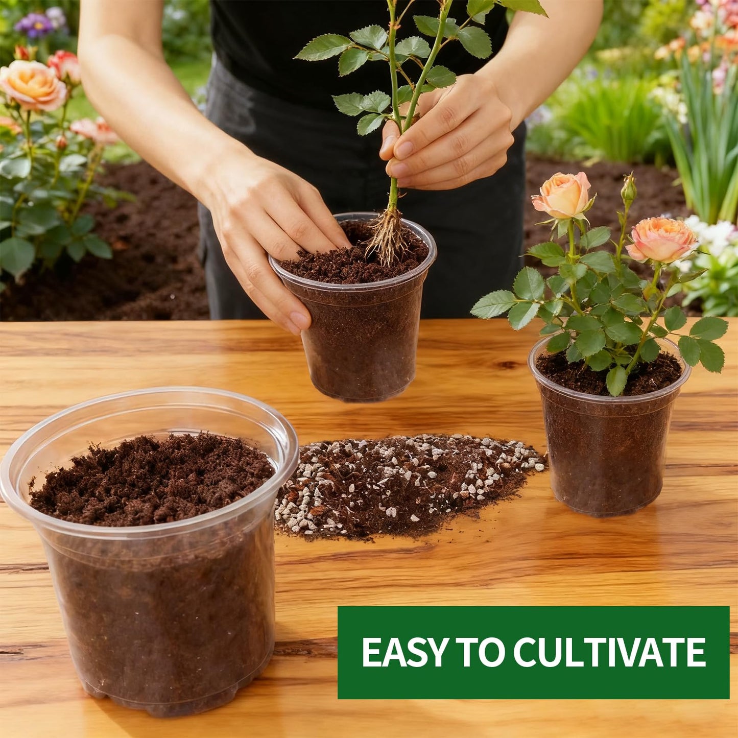 40 Pcs Seed Starter Pots Kit 2.5/3.5/4/5 Inch Clear Nursery Pots for Plants for Seedlings,Succulents,Plastic Nursery Pots with Drainage Holes (10 of Each Size),Garden Pot for Outdoor Indoor (Size A)