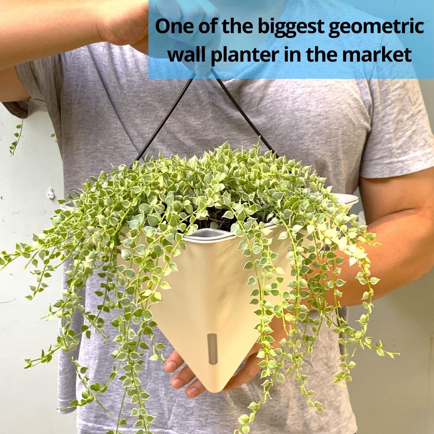 LaLaGreen Bundle - 12" x 4 Pack Black + 12" x 2 Pack White Large Self Watering Geometric Hanging Flower Vase Vessel with Metal Hanger, Modern Stylish Wall Mounted Succulent Pot Holder Decor
