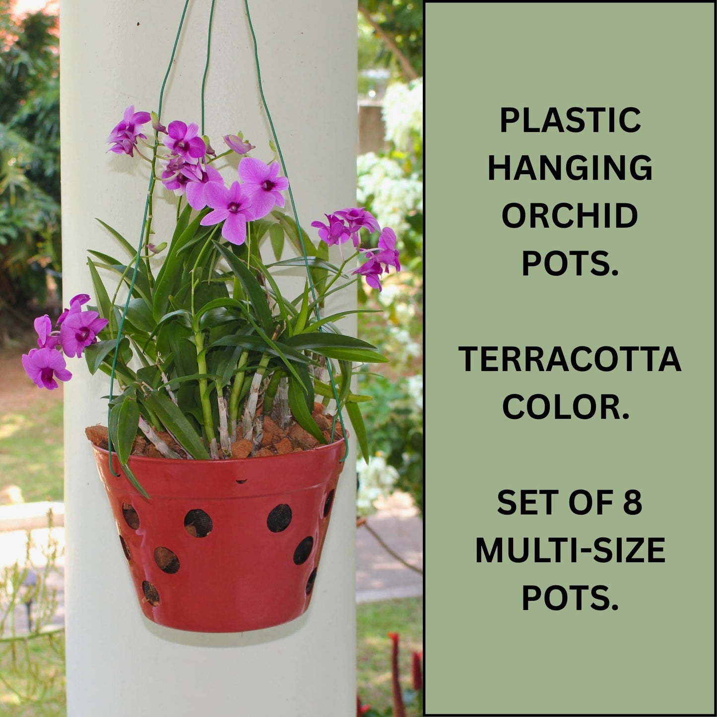 DESQUIGGLE Set of 8 Strong Thick Plastic Hanging Orchid Pots with Holes and Hangers. 2 Each of 9 Inches Wide, 7.5 Inches, 6.5 Inches, 5.5 Inches, Orchid Pots for Repotting, Orchid Planters
