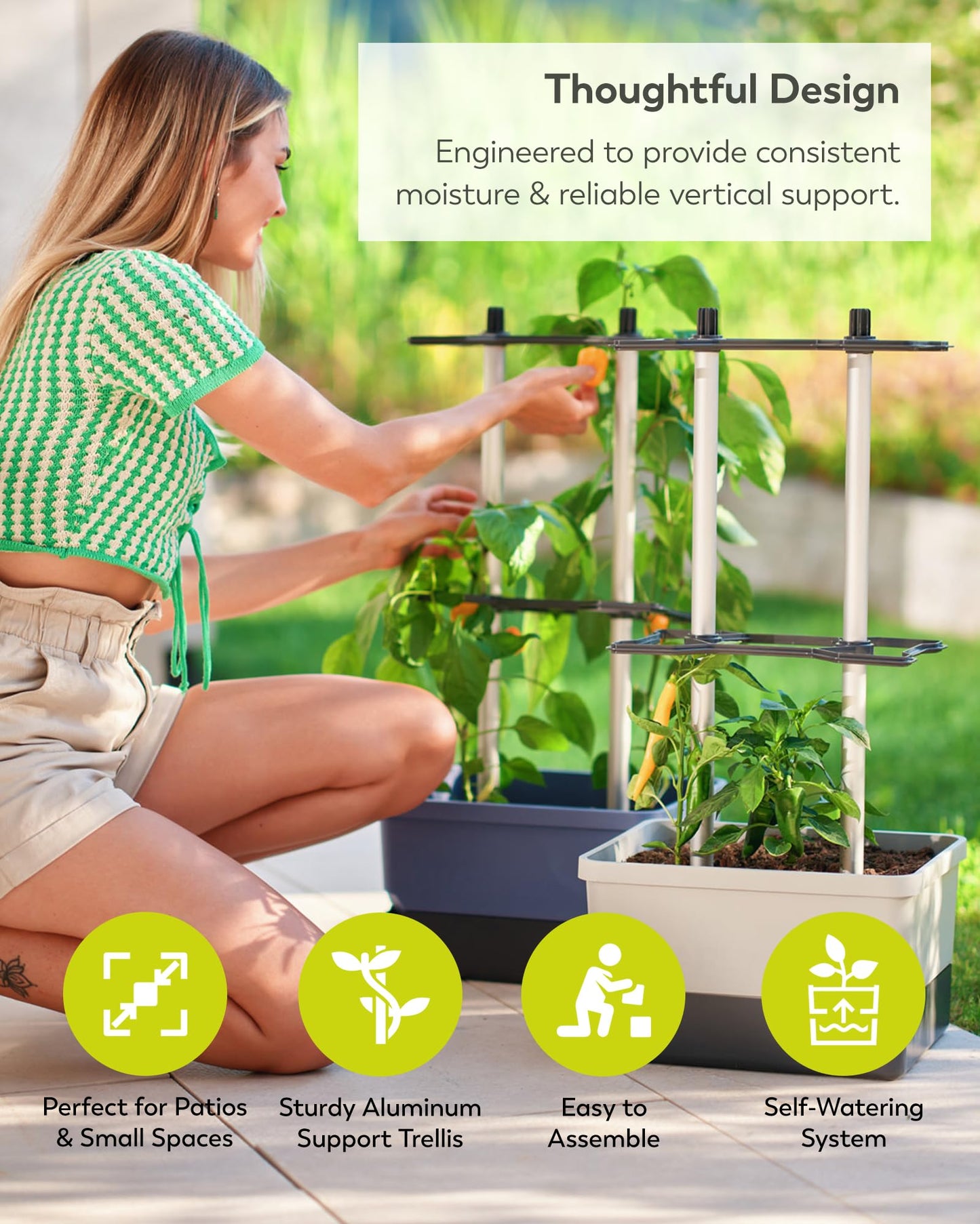 BUZZY Seeds Charly Chili Self-Watering Planter with Vertical Trellis – 1.2 Gal Reservoir, Large Capacity Planter for Chili Peppers, Bell Peppers & Eggplants (Blue)
