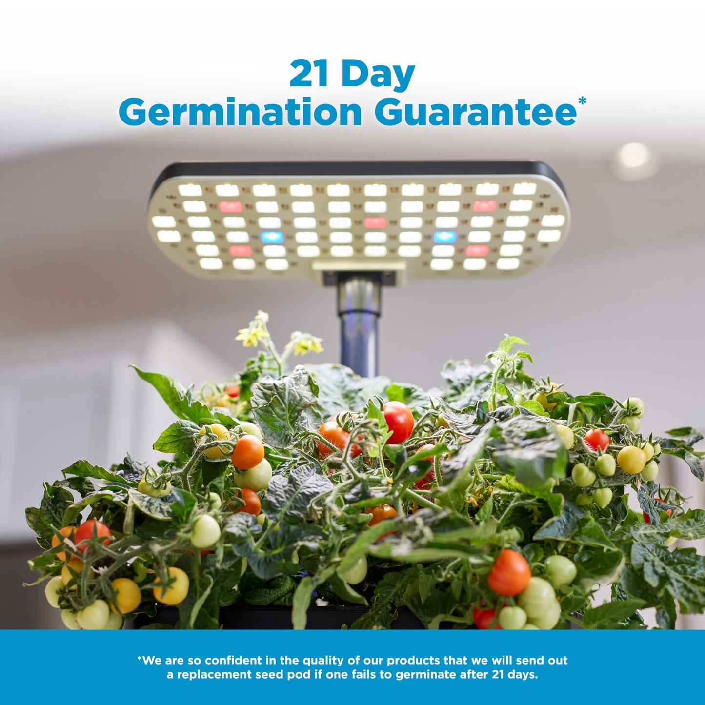AeroGarden Harvest Lite in Black, Soil-Free Indoor Hydroponic Garden with LED Grow Light for Year-Round Gardening of up to 6 Herbs and Vegetables
