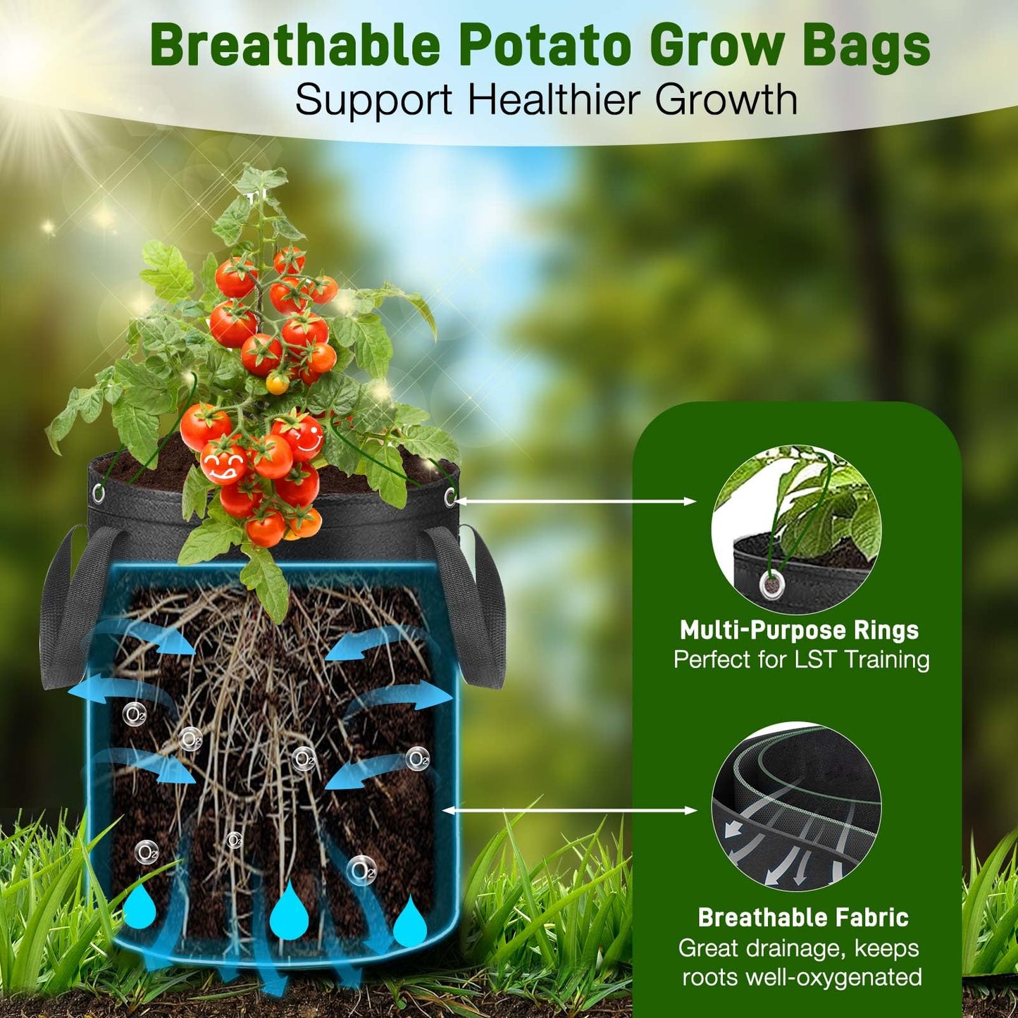 4 Pack Potato Grow Bags 10 Gallon with Harvest & Visible Window Thickened Garden Bags to Grow Vegetables with Handles & Metal Grommets for LST, Fabric Pots for Growing Carrots, Tomatoes, Onions