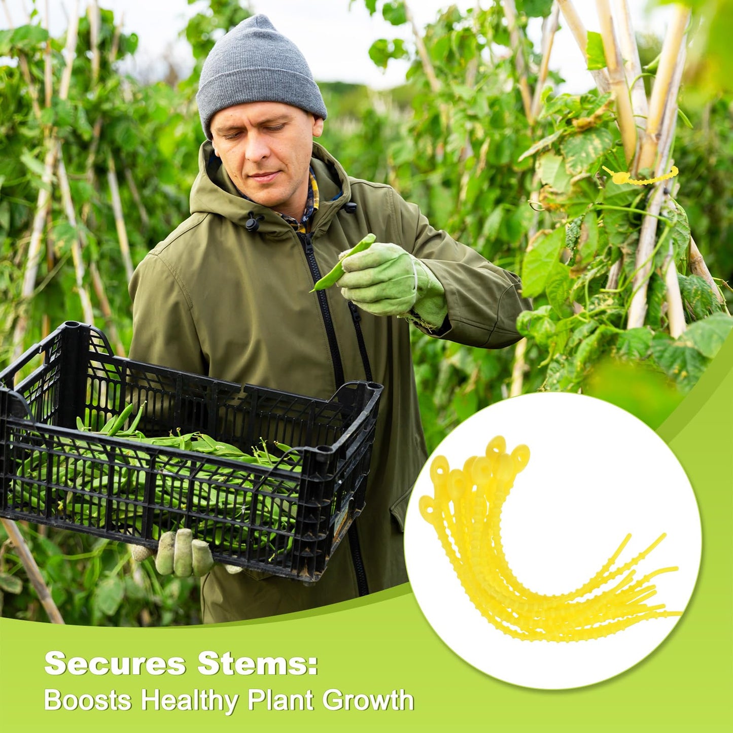 M METERXITY 48-Pack Adjustable Plant Ties, 4.7/5.9/6.7/8.2 Inch Silicone Flexible Multi-Function Garden Twist Tie for Crafts/Gift Wrapping/Gardening Plants, Reusable Support Twine [Yellow]