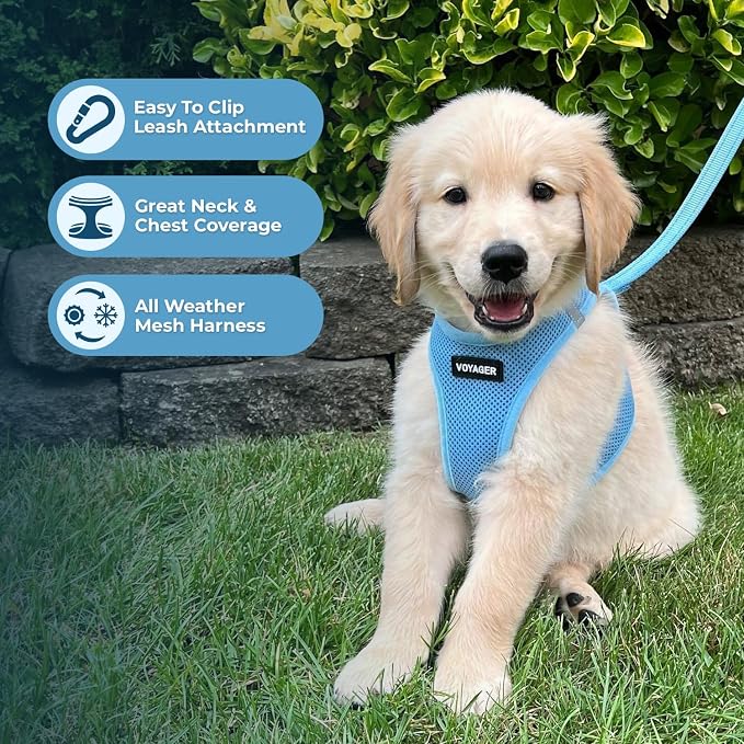 Best Pet Supplies Voyager Step-in Air All Weather Mesh Harness and Reflective Dog 5ft Leash Combo with Neoprene Handle, for Small, Medium and Large Breed Puppies - Baby Blue, XX-Small