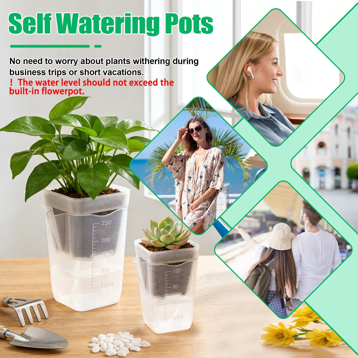 Windspeed 6+6P Mini Clear Self Watering Pots with Indicator 2.5 in 2 in Semi Clear Hydroponic Pots for Indoor Small Plants, Mini Self Watering Planters with Water Level Markings, Drainage Hole