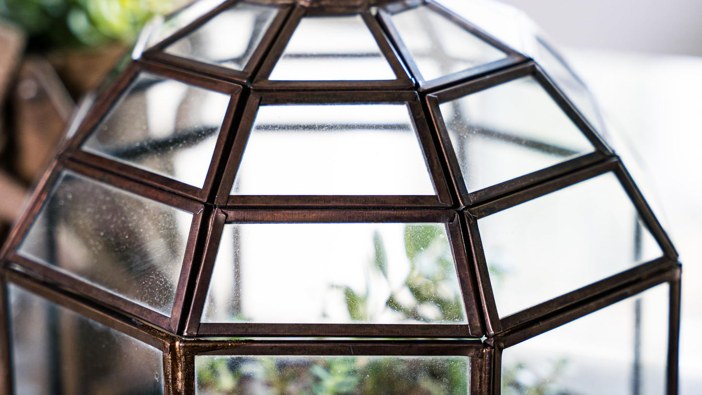 Urban Born Large Terrarium Birdcage, Glass and Metal Indoor Display Case, Unique Gift Idea, Succulent Container, Orchid Planter, Home Decor. (Bronze) 10" x 9"(Diameter)