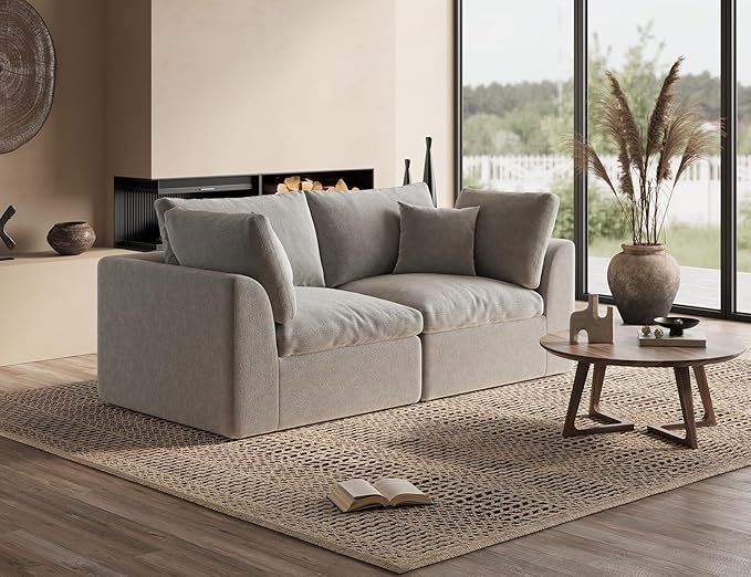 ohllob 78.9" Loveseat Sofa, Cloud Boneless Couches