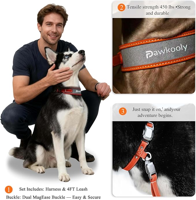 MagEase Dog Collar with 4FT Leash | Adjustable | Anti-Wrinkle, Bite & Stain-Resistant Leather | Soft & Skin-Friendly | 450LB Escape-Proof Magnetic Buckle (Orange, Large)