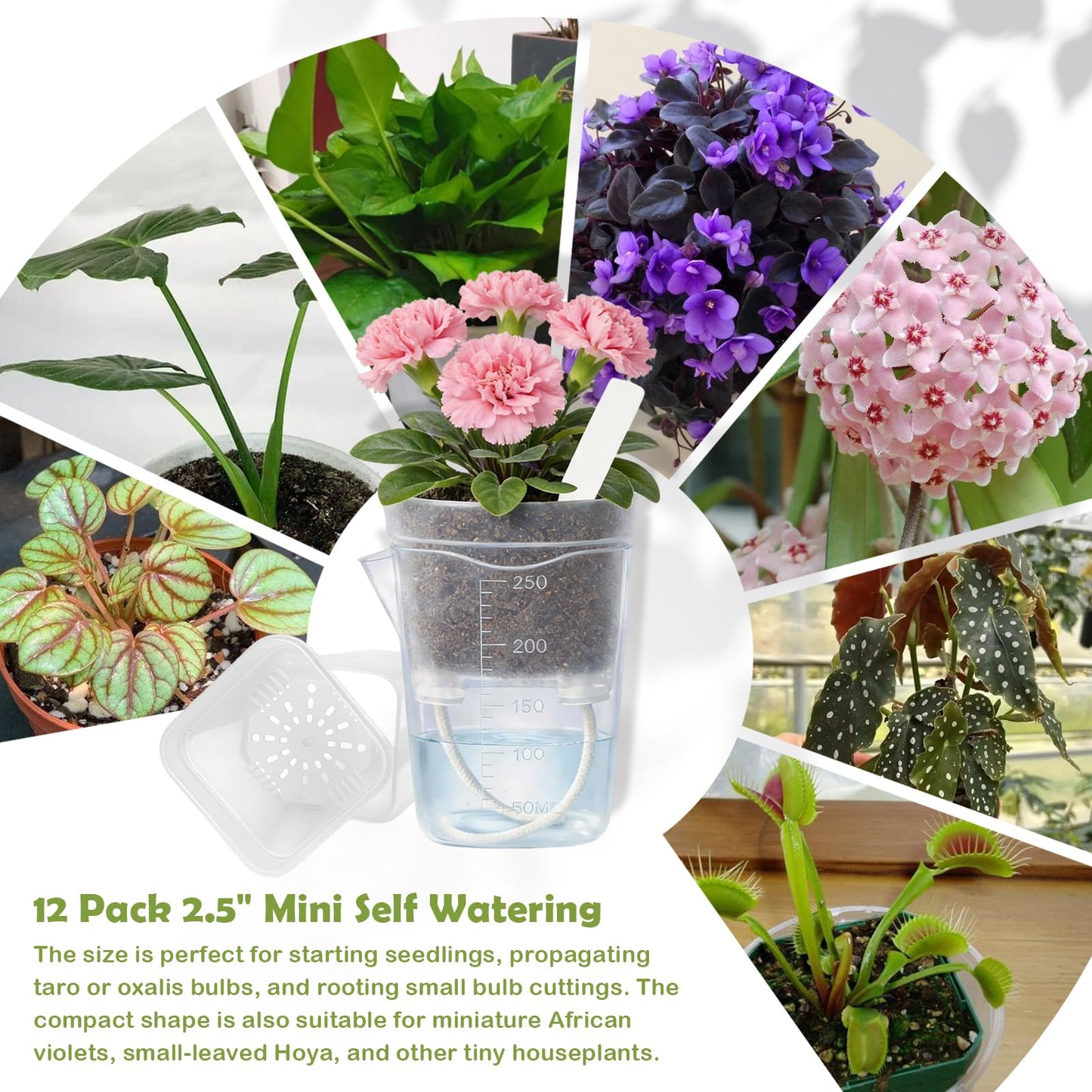Shgxjjnb 16 Pack 2.5" Clear Self Watering Pots for Indoor Plants, Mini Clear Plastic Planters, with 16 Plant Label and Water Level and Drainage Holes for Seedlings, Cuttings, Succulents (Large)