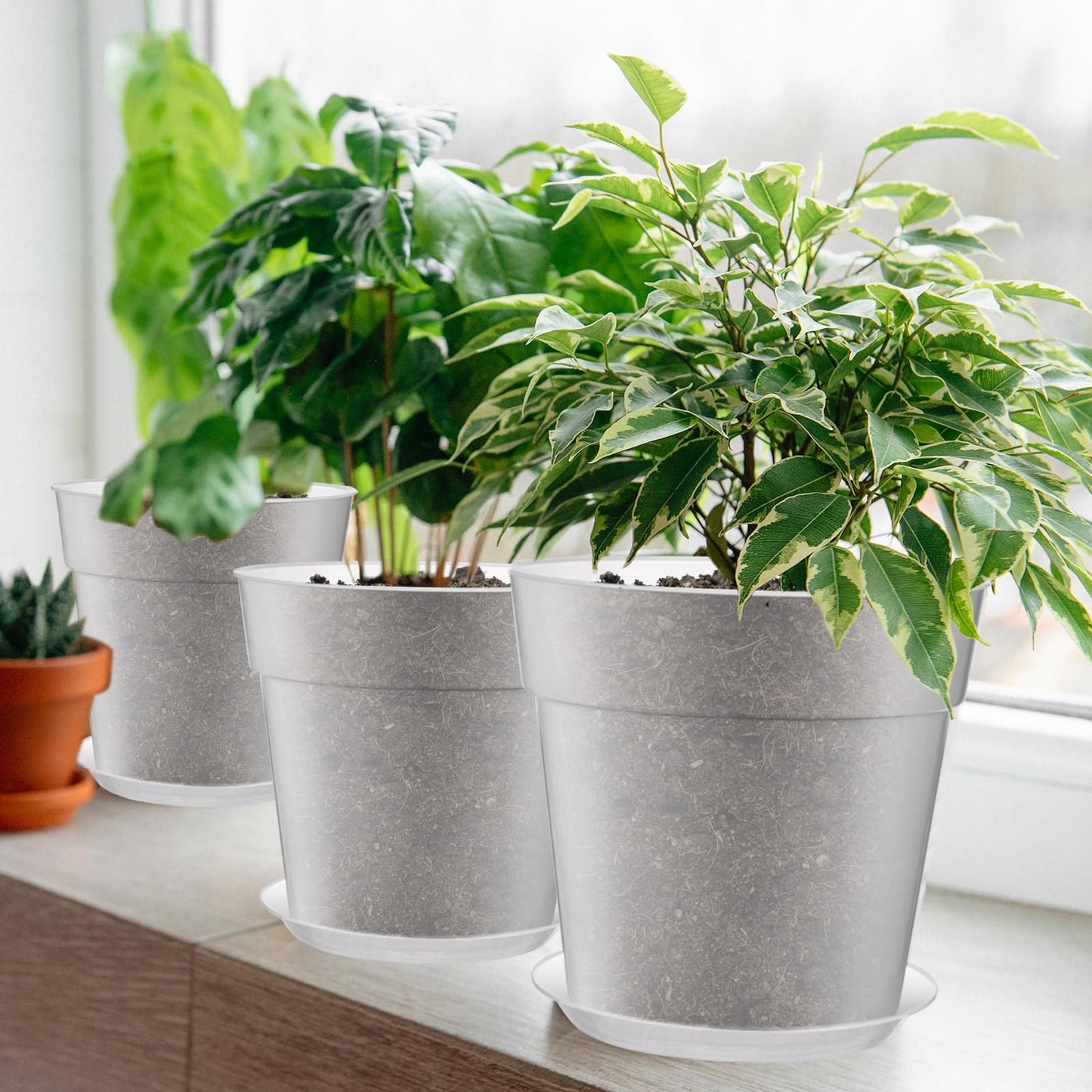 Baderke 3 Pack Clear Nursery Pot Plastic Nursery Pot Large Plant with Drainage Holes for Root Health Indoor Outdoor (8 Inches,9.25 Inches,9.6 Inch)