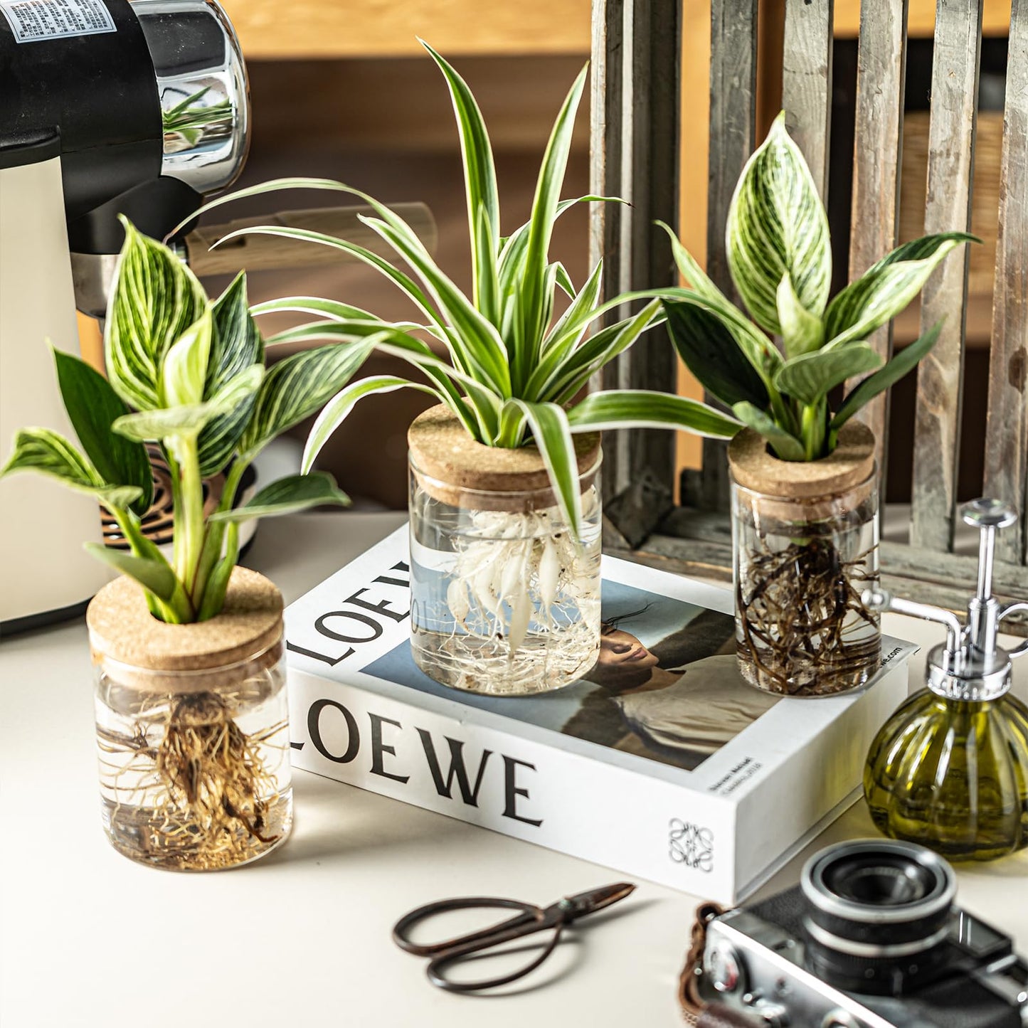 CHPINDAM Glass Propagation Stations for Plants -Desktop Flower Vases,Propagation Flower Vases Set – 2 Large & 2 Small for Plant Cuttings，for Living Room, Bedroom Decoration,Home,Office Decor (8)