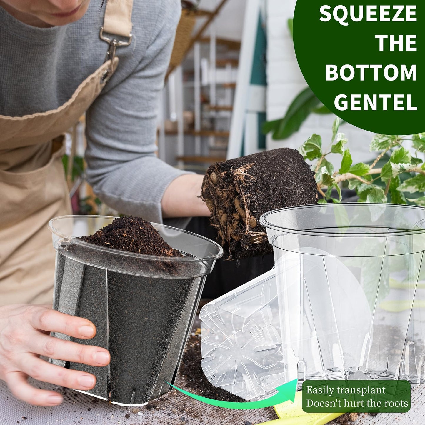 Groodo 18 Pack Clear Nursery Pots for Plants, 5.5/5.9/6.3 Inch Reinforced Plastic Plant Pots with Drainage Holes High Transparency Plant Pot Seed Starter Pot High Transparency with 10 Plant Labels
