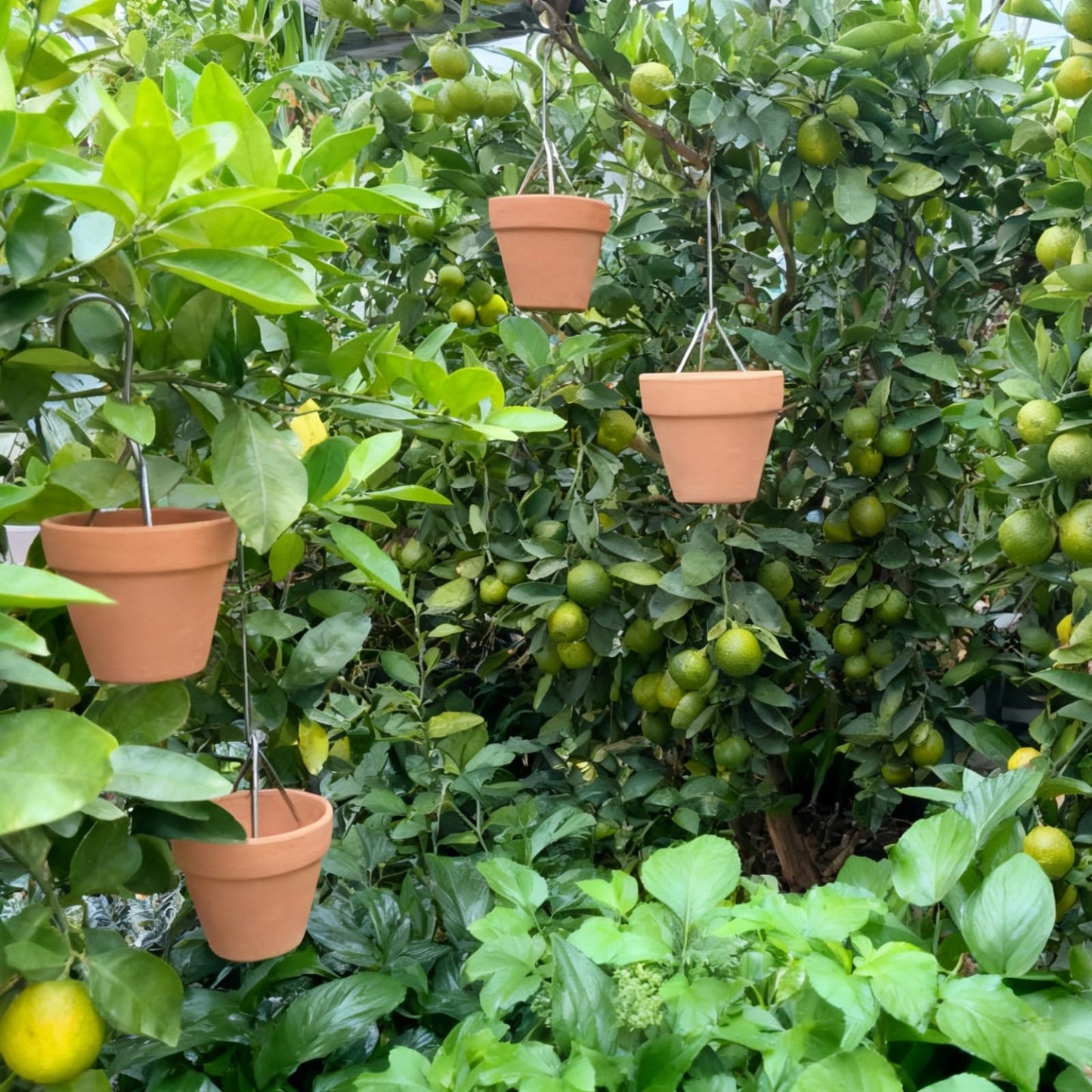 Tressify 20 Pcs Metal Plant Pot Hangers, 4.7 In Stainless Steel, For Balcony Flower Pot Display, Railing And Fence Hooks