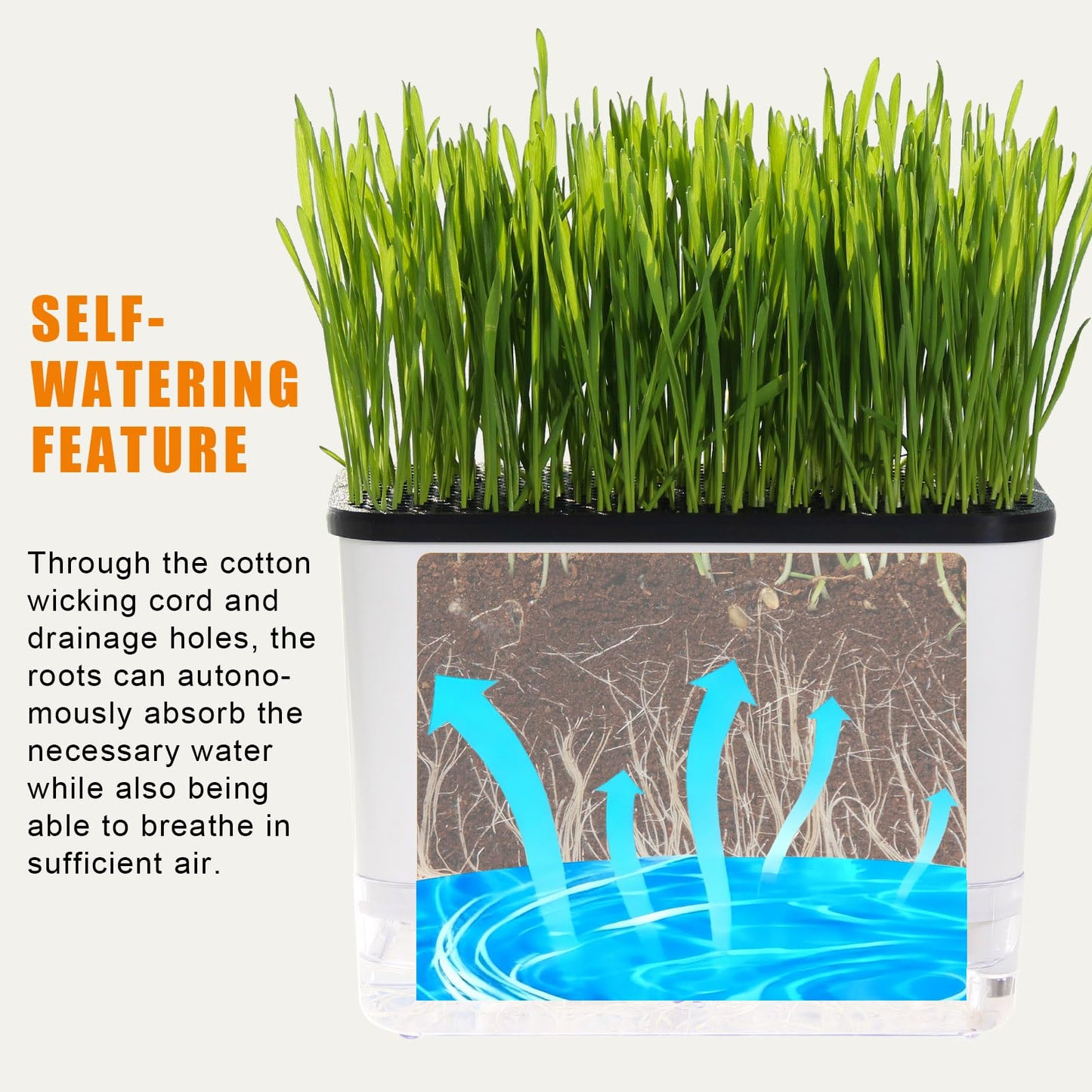 BENPIN Self-Watering Cat Grass Planter (no Seed Included), with Drainage Holes and Anti-Digging Design, Wheat Grass Growing Pot, Cat Grass for Indoor Cats Pets (1)