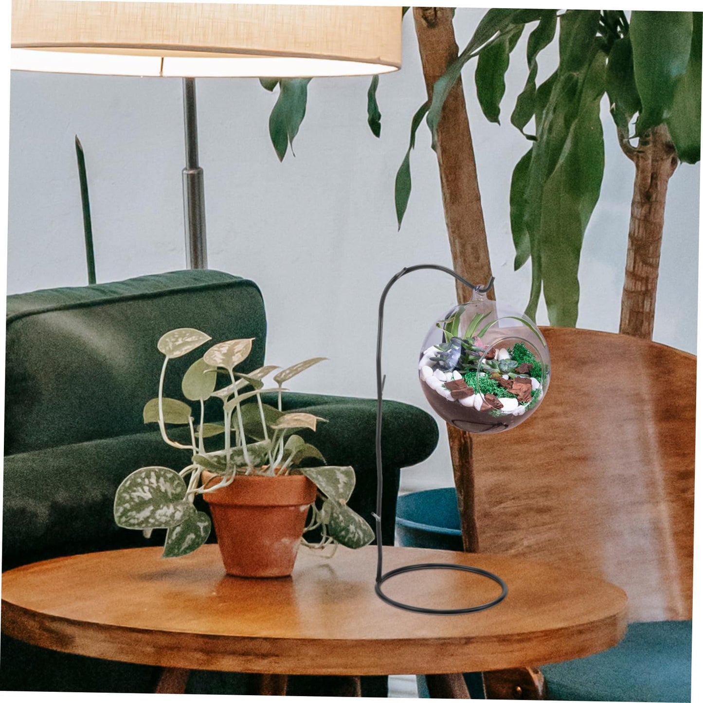 Toyvian Decorative Hanging Rack for Air Plants Black Glass Terrarium Holder with Hook for Home and Office Decor Pothook Stand for Flowers and Succulents Unique Micro Landscape