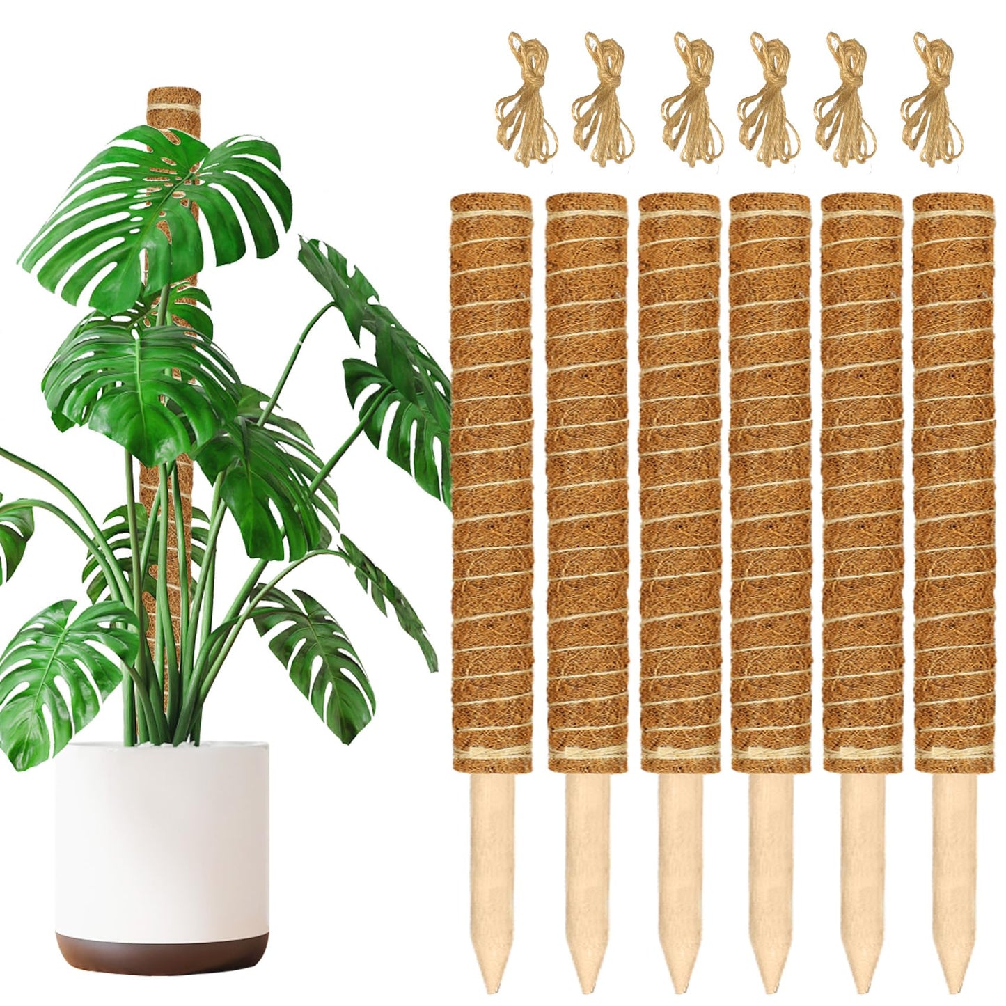 JJGoo Moss Pole for Plants Monstera,【6 Pack】 17 inch Plant Support Pole, Extendable Coir Totem Pole for Potted Plants Pothos, Train Indoor Climbing Plants to Grow Upwards