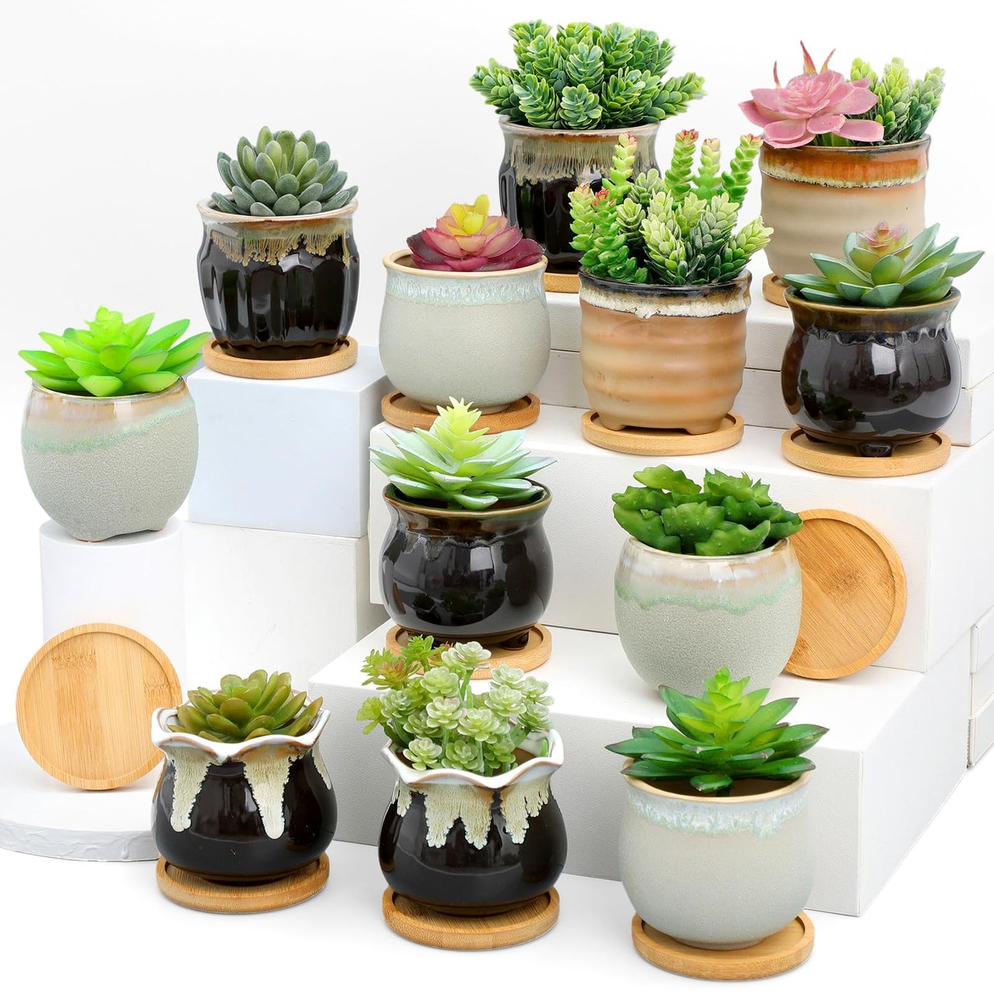 Remerry 6 Pcs Small Succulent Pots Bulk with Drainage Assorted 3.5 Inch Mini Ceramic Succulent Planters Pot with Coaster Bamboo Plant Tray Planting Pots for Home Office Garden