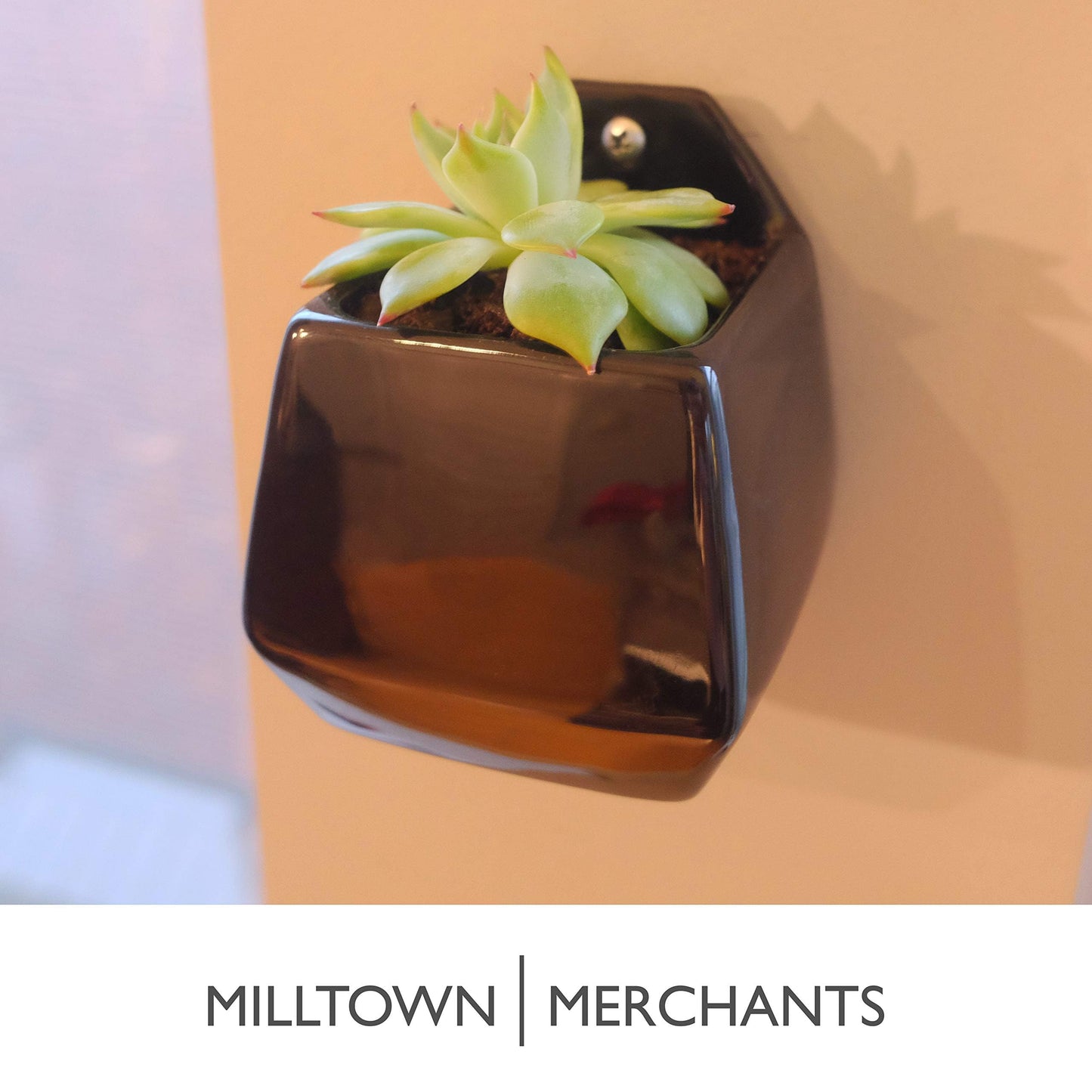 Milltown Merchants Succulent Wall Planters - Wall Vases - Black Ceramic Wall Mounted Planters - Succulent Plant Pots - Hanging Vases for Living Wall (2 Pack/Contemporary/Black)