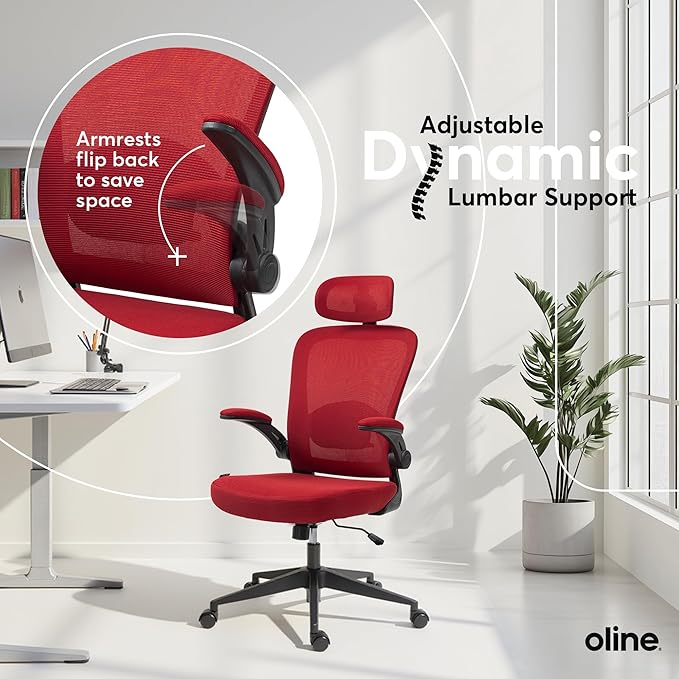 Oline ErgoAir Ergonomic Office Chair – Adjustable Lumbar Support, Flip-Up