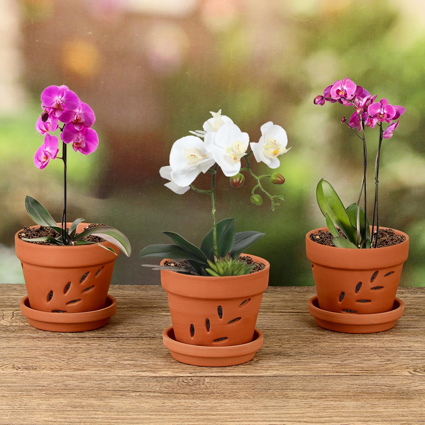 JUXYES 6 Pack Small Terracotta Orchid Pots with Holes and Saucers, Clay Orchid Planter Pots for Repotting, Plant Flower Pots for Orchid Indoor and Outdoor Promotes Air Circulation, 4 Inches