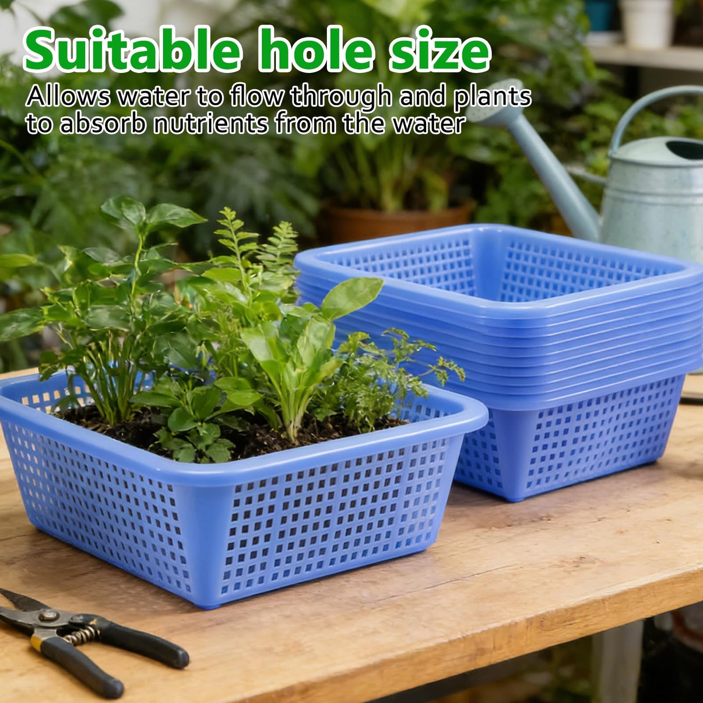 MegoSage 12PCS Aquatic Plant Baskets for Hydroponics Water Garden Plant Pots 10.5 x 10.5 x 3.7 Inch Square Plastic Mesh Basket for Hydroponics Live Aquarium Nursery Grow Botany Flowers