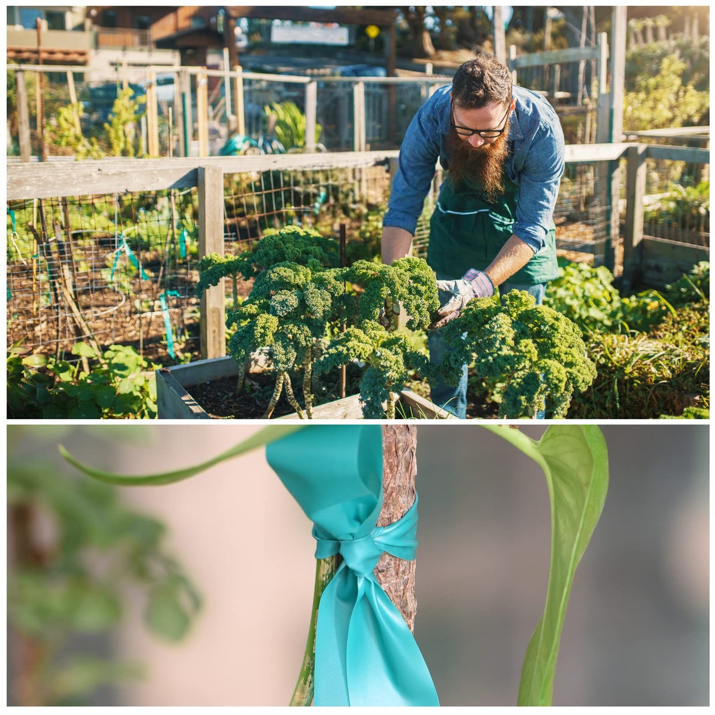 TELENT OUTDOORS 4 Rolls Stretch Tie Tape, 1” Wide 200FT Reusable Garden Plant Ties Green Tapes for Plants, Thick Garden Vinyl Stake Ribbon for Branches Flowers Tomatoes Indoor Outdoor Greenhouse