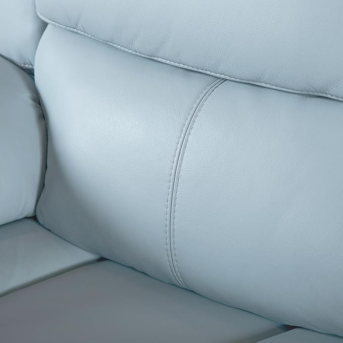 Furniture of America Sorin Modern Leather Recliner Sofa