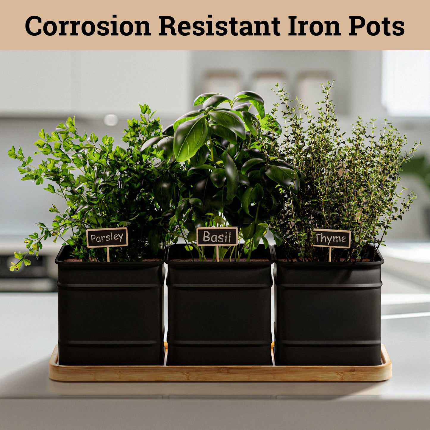 Herb Planter Indoor - 3 Iron Herb Pots with Drainage Holes, Varnished Bamboo Tray, Customizable Labels & Marker Pen - Indoor Herb Garden Planter - 3 Pots for Herbs - Inside Spice Garden - Basil Pot