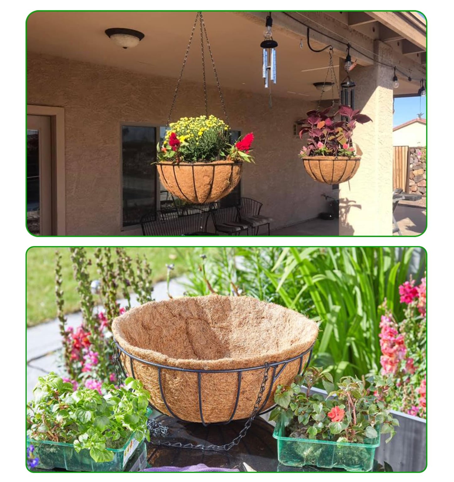 LCHUANG Hanging Baskets Planter for Plants - 2 Pack 12 Inch Metal Baskets with Coco Coir Liner, Hanging Flower Pots for Outside with Chain, Indoor Outdoor Garden Porch Decoration (12'' Pack of 2)