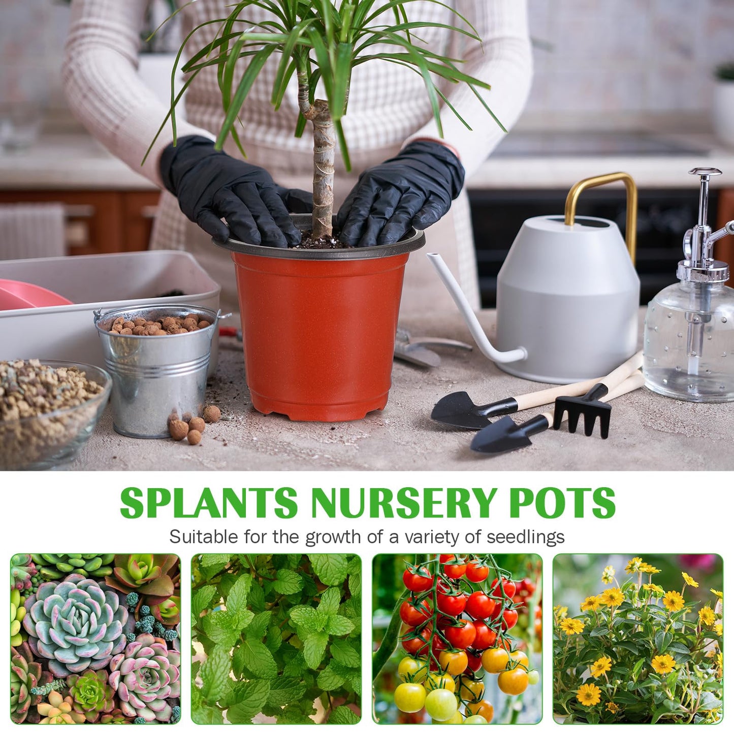 Ziliny 150 Pcs Plastic Plants Nursery Pot Bulk Seed Starting Pots Small Seedling Plant Pot for Outdoor Indoor Planting Garden Flower Succulents Cuttings Transplanting Planter (8 Inch)