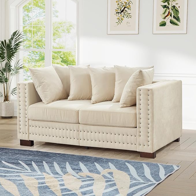 2 Piece Velvet Couch and Loveseat Sets, Mid Century Modern Couch