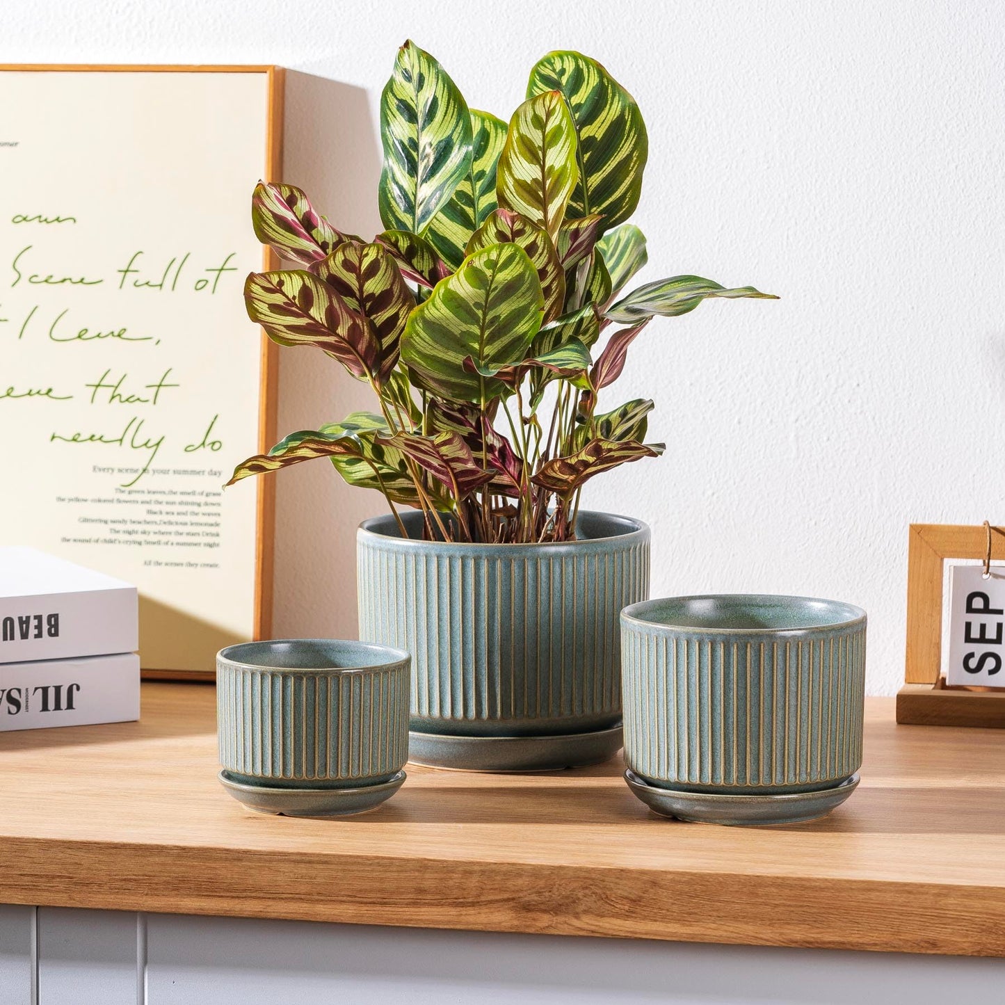 SURE YUESI Green Ceramic Plant Pots Set of 3 (4.3”+5.5”+6.7”), Indoor Striped Planters with Drainage Hole, Mesh Pads, Decorative Pots for Plants & Gardening