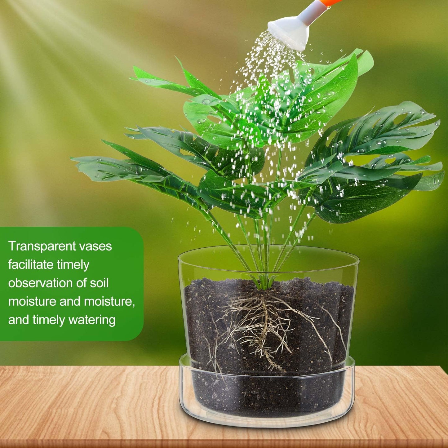 Singhoow 2 Sets 6 Inch Glass Planter with Drainage Hole and Tray Indoor Clear Plant Pots with Saucer Modern Decorative Orchid Glass Pot for Outdoor Flower Plants