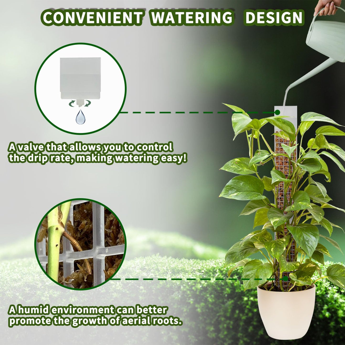 HYYZ 2PCS 18.7-Inch D-Shaped Self-Watering Moss Pole - Plastic Monstera Support for Indoor Climbing Plants. (2, White)