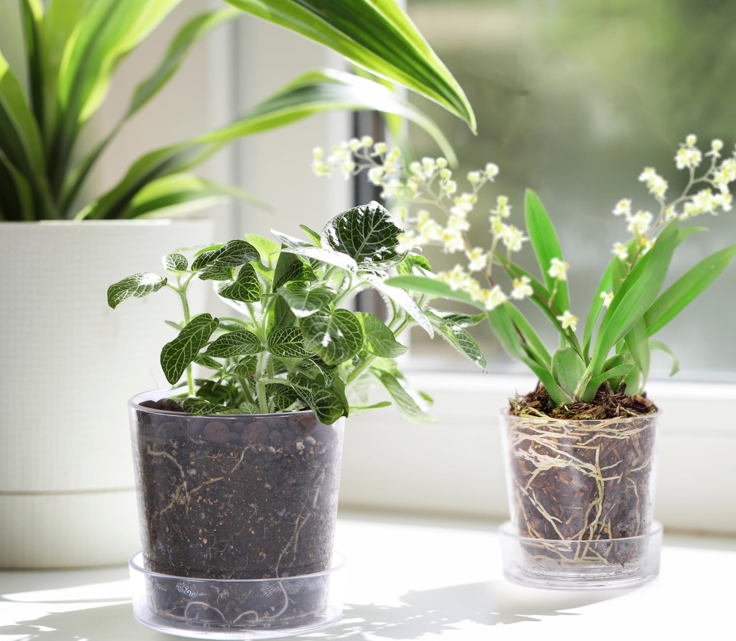 Phoenix Vine 3.5 Inch 4.5 Inch Clear Acrylic Houseplants Planter Pot with Tray, Orchid Pot with Drainage Holes, Deep Saucer for Bottom Watering, Transparent Containers for Indoor Plants, Herbs, 91-B-V
