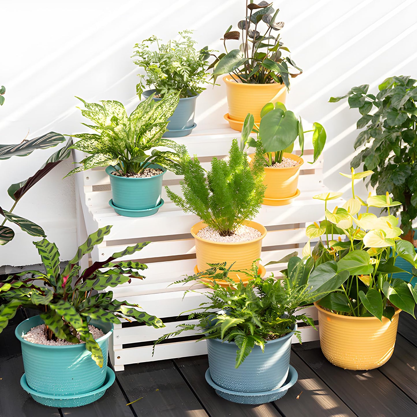 Hayder 6 Inch Plant Pots, 6 Pack Thick Plastic Flower Pots for Plants Indoor Outdoor, Planters with Drainage Holes and Saucers, Mix Color