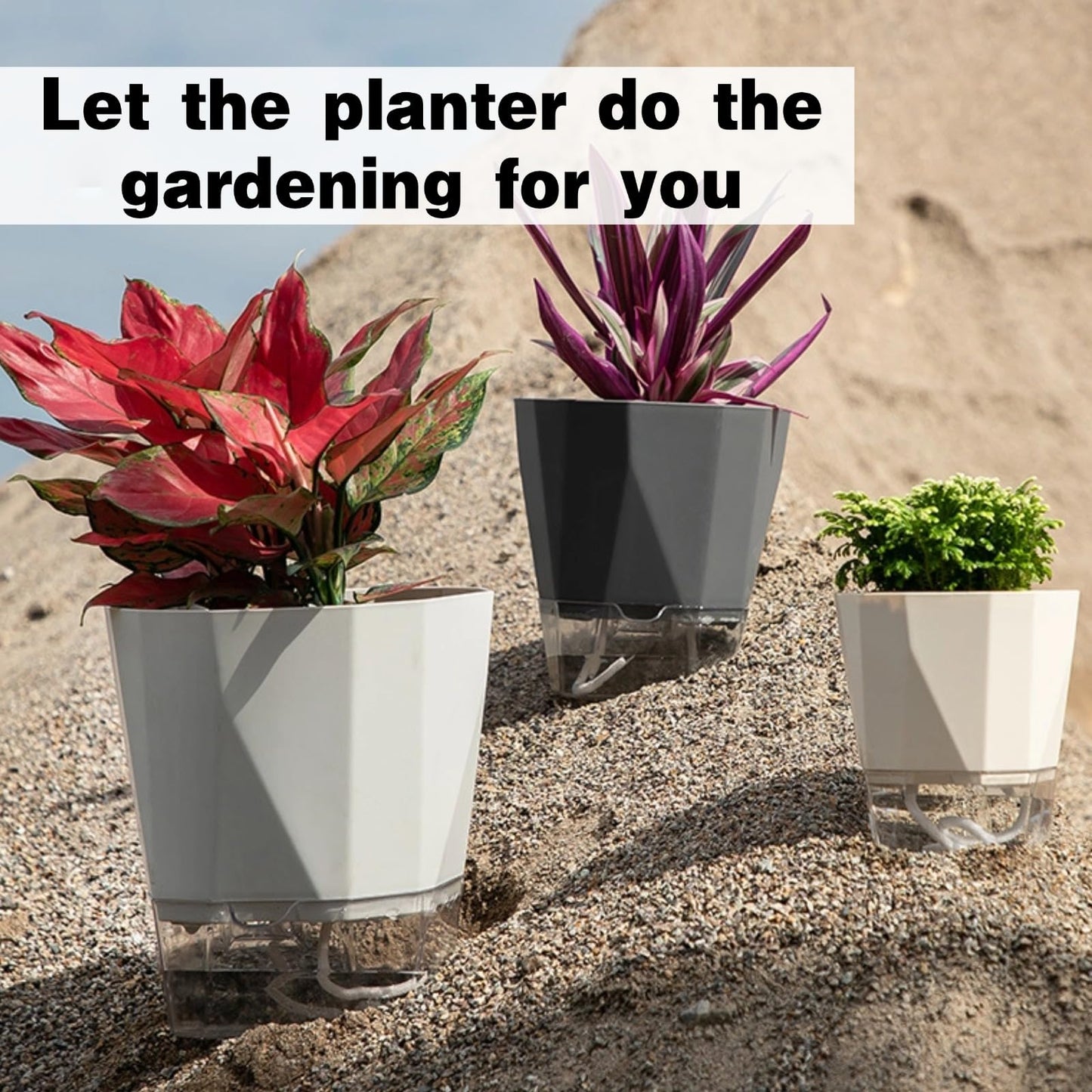 BovcTrraann 4 Packs Self Watering Plant Pots, Plastic Flower Pots with Drainage Hole and Saucer, Self Watering Planters for Indoor Outdoor Garden Plants, African Violet, Herbs (White, 5")