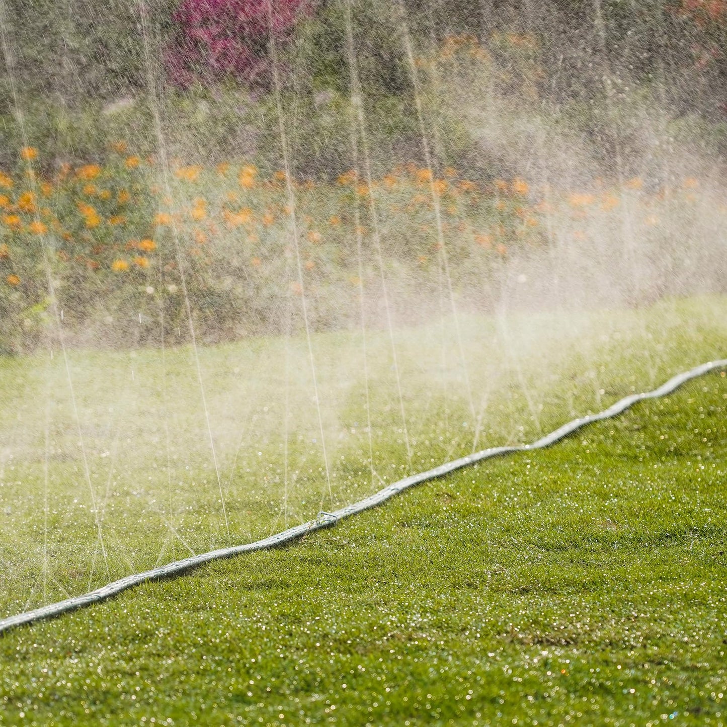DXront Sprinkler Soaker Hose 25ft 2Pack for Garden Lawn, Watering Pipe with Holes, High-Efficiency Water-Saving Garden Irrigation System, Drip Hose Sprinkler