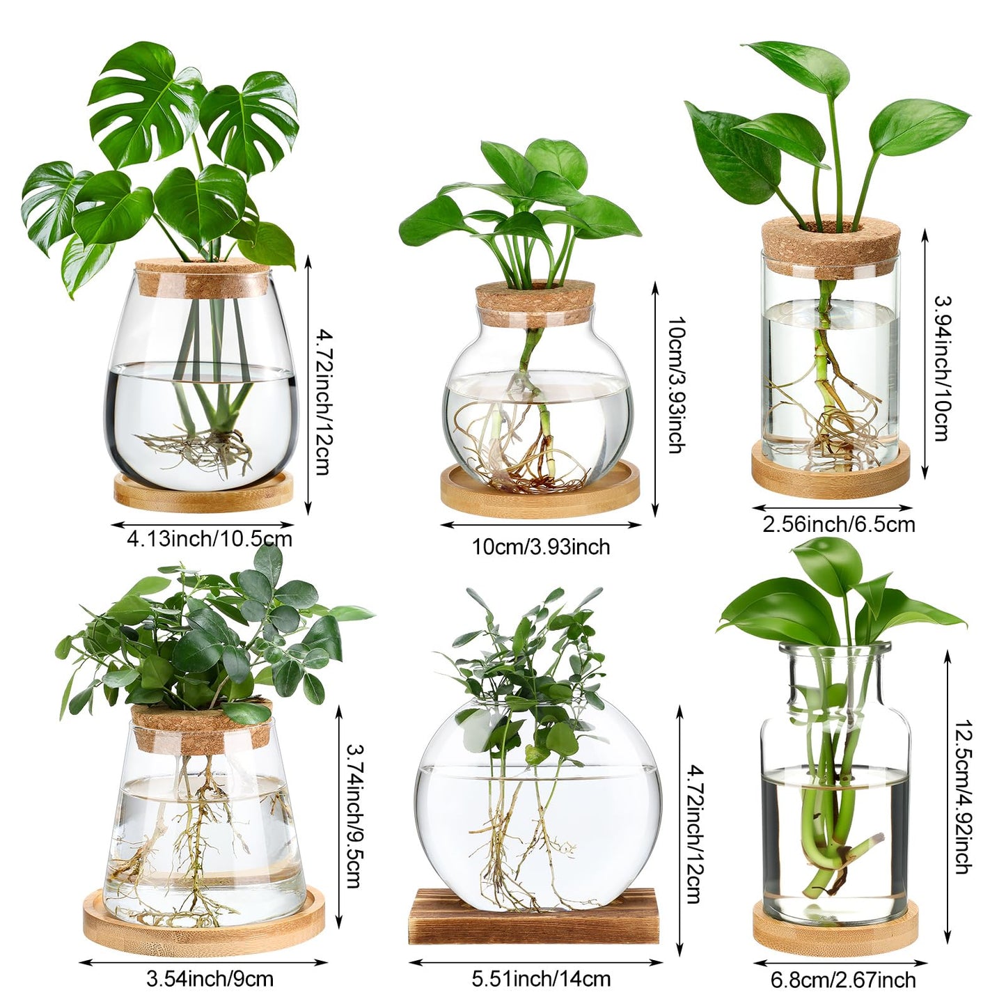 Honeydak 6 Pcs Plants Propagation Stations Planter Terrariums with Wooden Lid and Bamboo Stand Desktop Glass Propagation Vases for Plant Growing Hydroponic Home Office Tabletop Decoration