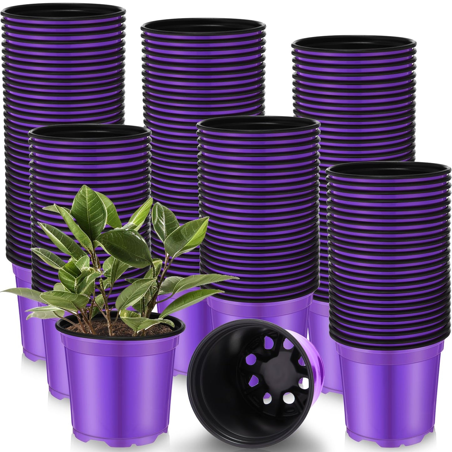 Havawish 150 Pcs 4 Inch Plastic Nursery Pots Seedling Starting Pots with Drainage Holes Thicken Flower Planters Seed Starting Indoor Outdoor for Seedling Cutting Transplanting(Purple)