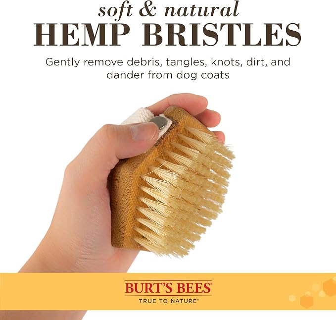 Burt's Bees for Pets Palm Brush with Hemp Bristles for Large Dogs, Ergonomic Handle Reduces Wrist Stress, Removes Dirt and Debris, Ideal for Daily Grooming, Made of Bamboo and Recycled Materials
