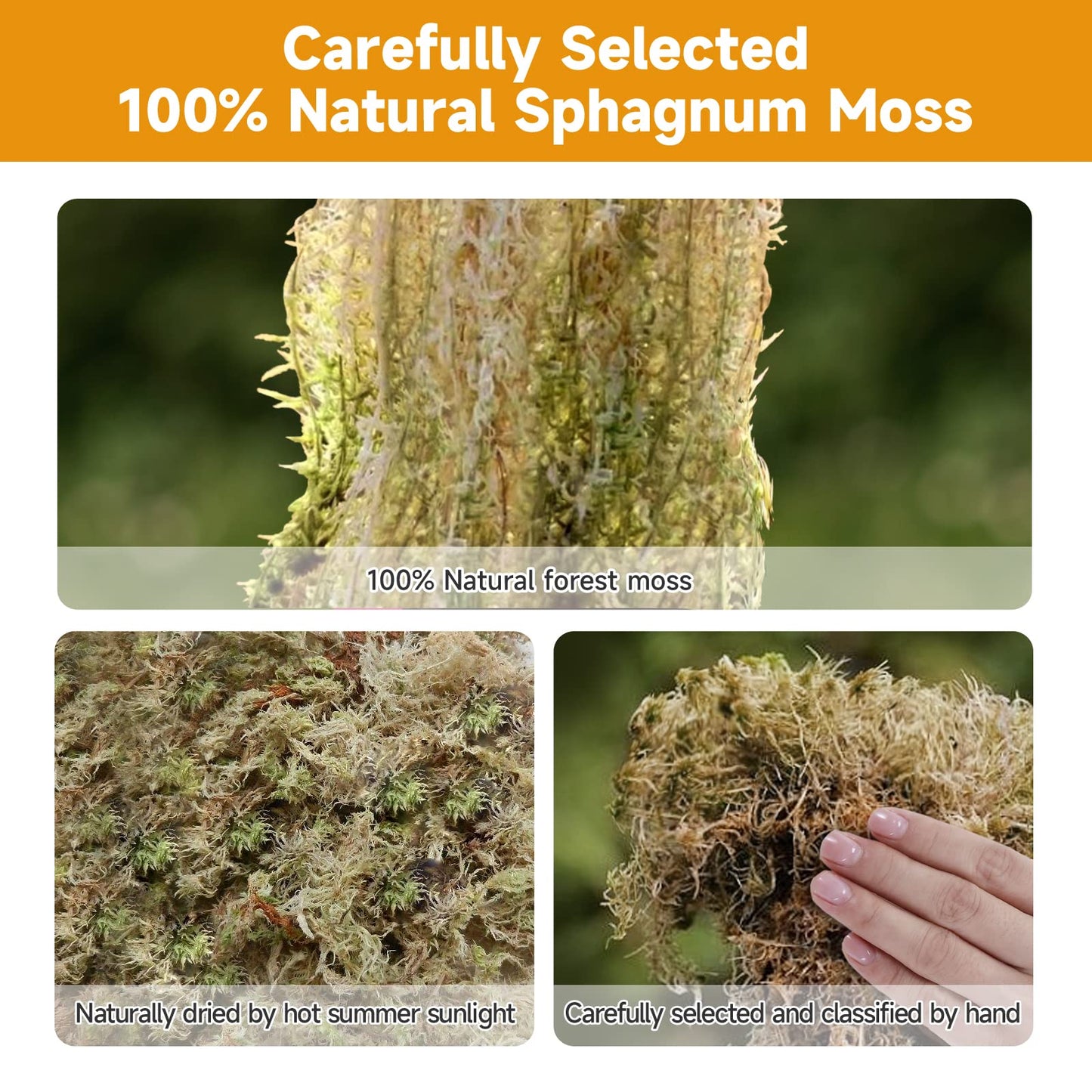 Phoedg Pre-Filled Sphagnum Moss Pole for Climbing Plants, 25.4 Inch Extendable Plant Stakes, Reusable Plastic Moss Support Poles, Long-Lasting Moisture for Pothos & Monstera Growth