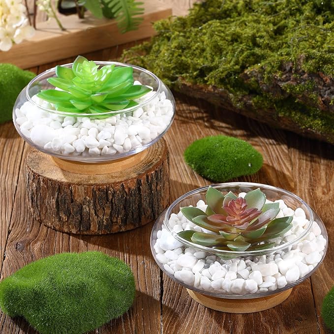 Baderke 2 Sets Glass Planter Bowls for Flowers with Tray 6'' Round Glass Vase Bowl Hydroponic Lotus Planter Pot Propagation Vases Fish Bowl for Plants Indoor Windowsill Kitchen Desktop Wedding Decor